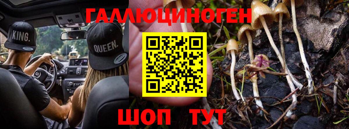 Галлюциногенные грибы MAGIC MUSHROOMS Нововоронеж