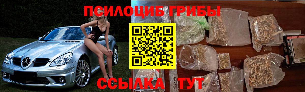 Псилоцибиновые грибы прущие грибы  купить наркотики цена  Нововоронеж  Вход с VPN  Псилоцибиновые грибы Psilocybine cubensis 